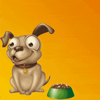 hercosulalimentos gato pets gatos cachorro GIF