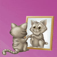hercosulalimentos gato pets gatos cachorro GIF