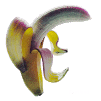 Food Porn Love Sticker by Kaufland