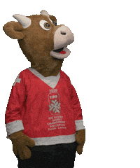 2020iihfworlds wtf goal hockey hey Sticker