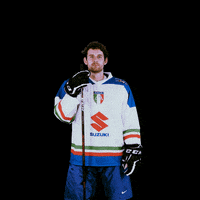 federazioneghiaccio hockey ice frank wintersport GIF