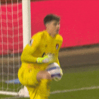 Encouraging Lets Go GIF by AFC Bournemouth