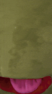 No What GIF by Humita