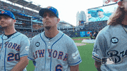 All-Star Sport GIF by New York Mets
