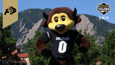 College Sports Colorado GIF by College Colors Day