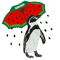 Summer Drink Sticker by Somersby Hungary