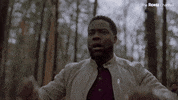 Kevin Hart GIF by The Roku Channel