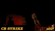 the cuckoo's calling cb strike GIF by Cinemax