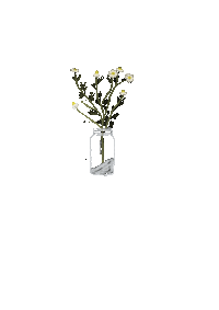 Ancatagsorean flowers cottagecore slowliving whiteflowers Sticker