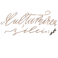Ancatagsorean ancatagsorean multumit multumireazilei Sticker