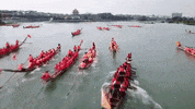 Dragon Boat Festival GIF