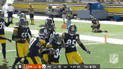 Pittsburgh Steelers Football GIF by NFL