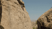 high five climbing GIF by Red Bull