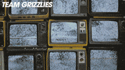 Bear Grizzlies GIF by RPA_Advertising
