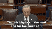Chuck Schumer GIF by GIPHY News