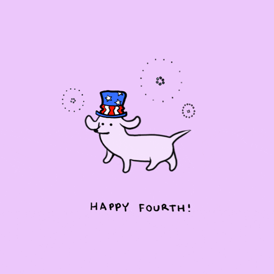 Independence Day Party GIF by Stefanie Shank