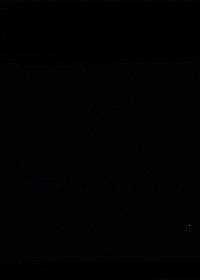 fireworks orgasms GIF