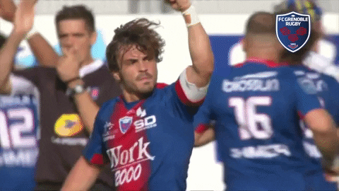 fcgrugby giphygifmaker rugby fist joie GIF