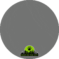 Sticker by Paws in the City