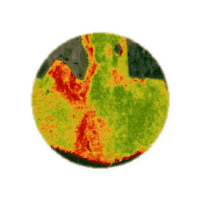 Alvaz Sticker by AlvazAgritch