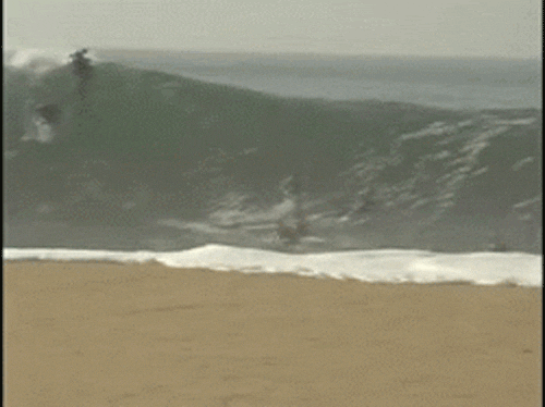 the beach GIF