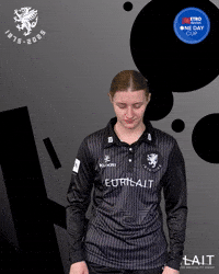 England Smile GIF by Somerset County Cricket Club