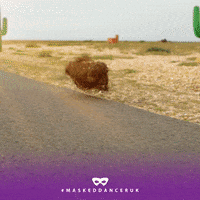 Walk Tumbleweed GIF by The Masked Singer UK & The Masked Dancer UK