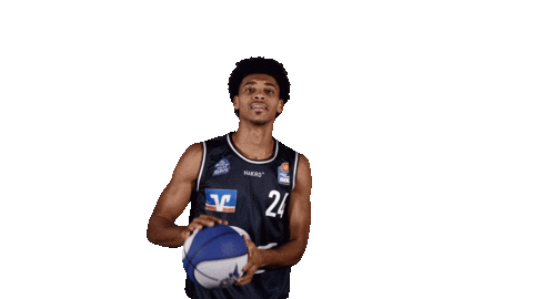 Basketball Ball Sticker by HAKRO Merlins Crailsheim