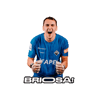 aacoaf aac coimbra academica briosa Sticker