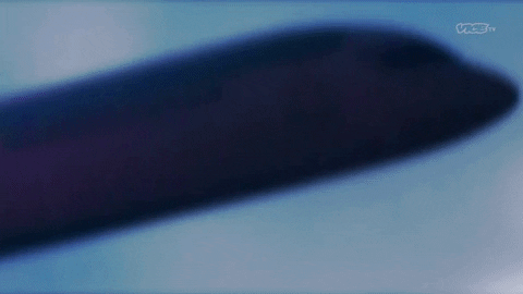Private Jet Wrestling GIF by DARK SIDE OF THE RING