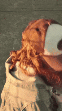 Bow Bow Rapper GIF by Redhazestudios