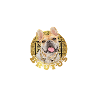 French Bulldog Sticker by Pimp Yo Pets