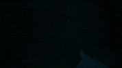 I Dont Wanna Be Famous GIF by NNAMDÏ