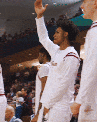 College Of Charleston Cougars GIF by Charleston Basketball