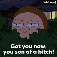 Spying Season 3 GIF by Rick and Morty