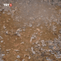 Hungry Eid Al-Adha GIF by TRT
