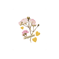 Influencerin Sticker by Schnappdeinpreis