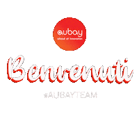 Aubayteam Sticker by Aubay Italia