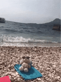 Happy Good Vibes GIF
