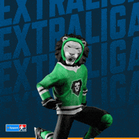 Hockey Hokej GIF by Tipsport extraliga