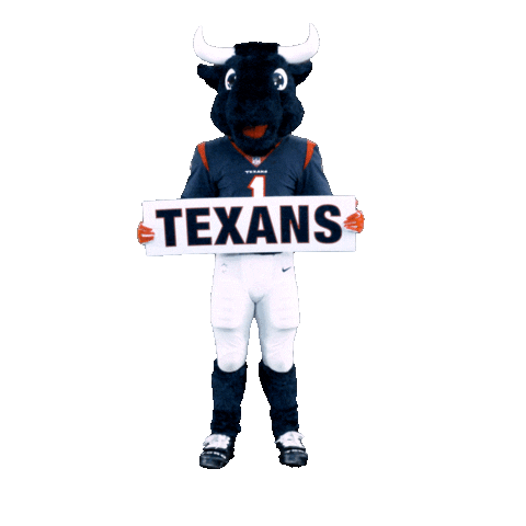 Nfl Mascot Sticker by Houston Texans