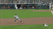 Ny Mets Mlb GIF by New York Mets