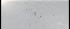 Nasa Coming Together GIF by Goldmaster