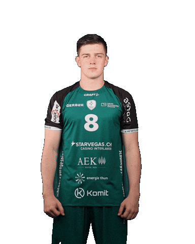 Handball Sticker by Wacker Thun