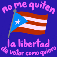 Voting Puerto Rico GIF by Creative Courage