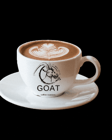 goatcoffeeroasters giphygifmaker coffee cafe franchise GIF