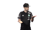 Esports Ps4 Sticker by SV Werder Bremen