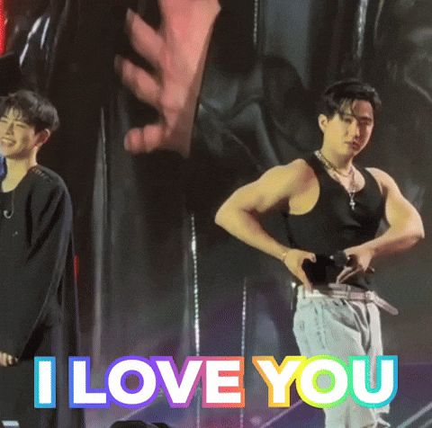 I Love You Stray Kids GIF