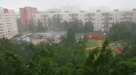 Keibra giphyupload GIF