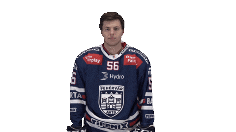 Celebration Goal Sticker by Fehervar AV19